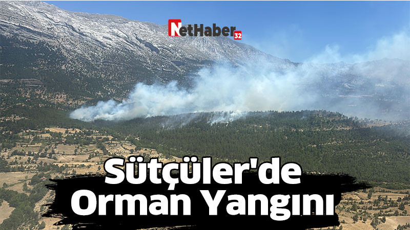 Sütçüler'de Orman Yangını