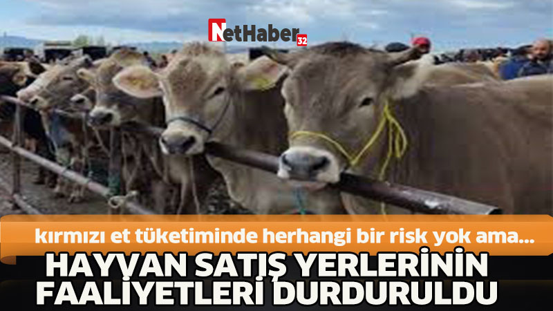 HAYVAN SATIŞ YERLERİNİN FAALİYETLERİ GEÇİCİ SÜREYLE DURDURULDU