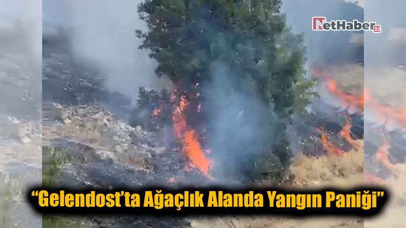 “Gelendost’ta Ağaçlık Alanda Yangın Paniği”