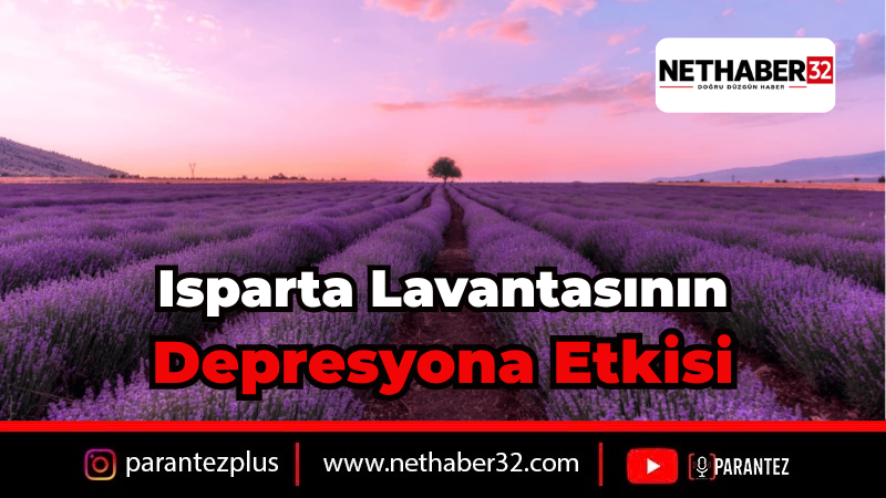 Isparta Lavantası Depresyon Tedavisinde İlaç Kadar Etkili Çıktı