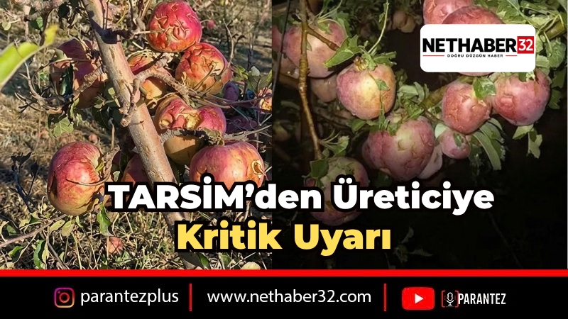 Isparta'da Elma Üreticisine Dolu Darbesi: TARSİM İhbarları Öne Çıktı