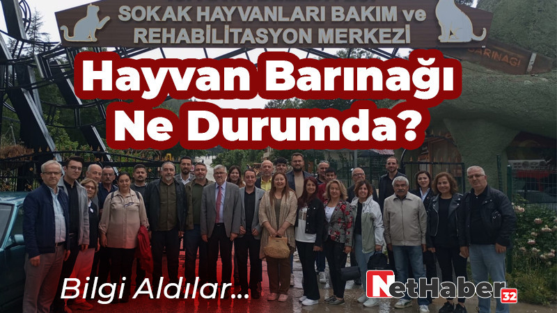 Hayvan Barınağı Ne Durumda? 