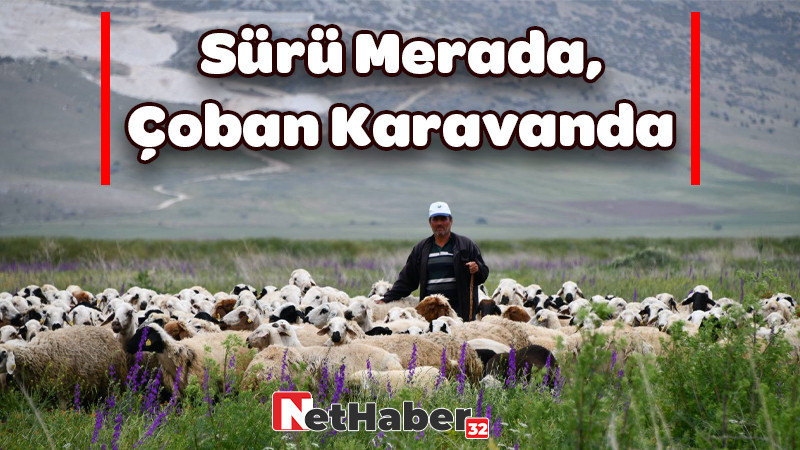 Sürü Merada, Çoban Karavanda