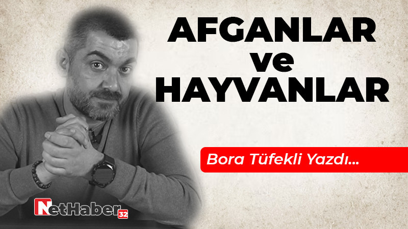 Afganlar ve Hayvanlar 