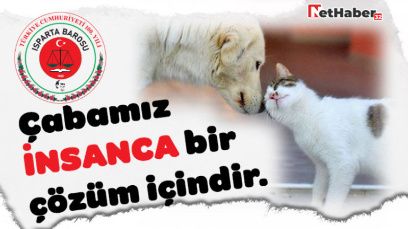 Çabamız İNSANCA bir çözüm içindir