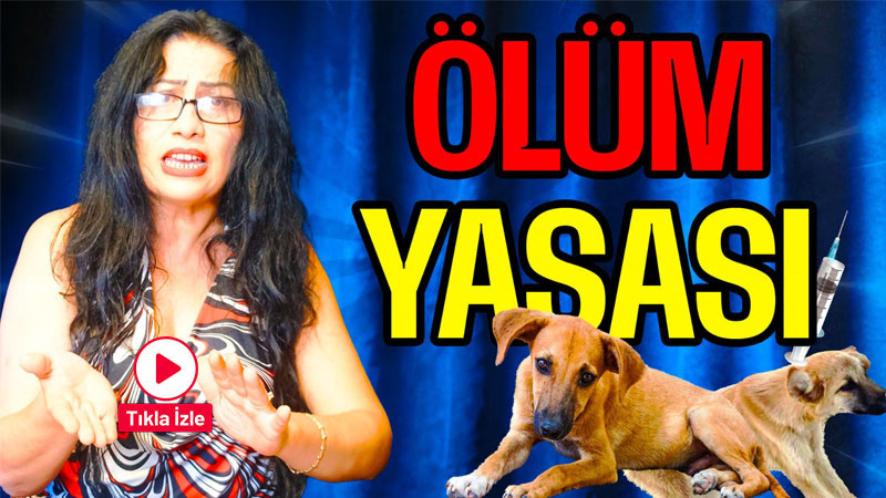 Ölüm Yasası! 