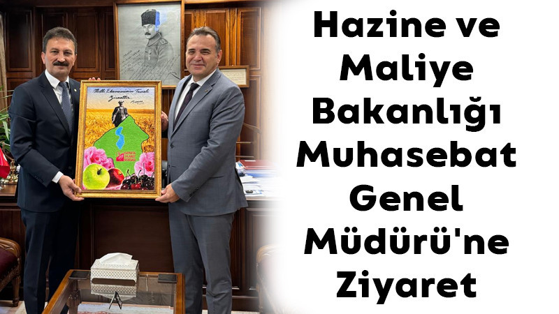 Hazine ve Maliye Bakanlığı Muhasebat Genel Müdürü'ne Ziyaret