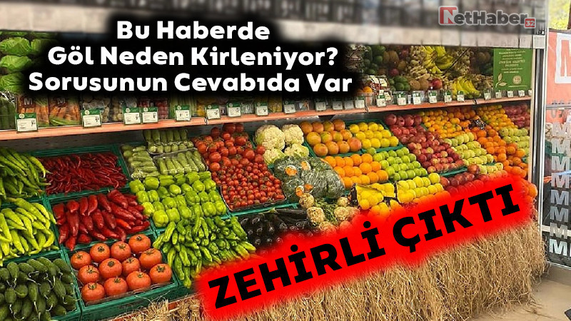 Zehirli Çıktı! / Bu Haberde Göl Neden Kirleniyor Sorusunun Cevabı da Var!