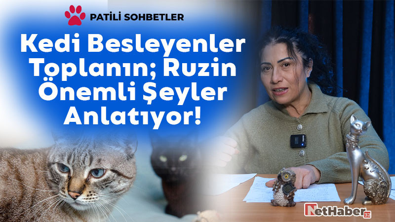 Kedi Besleyenler Toplanın Ruzin Önemli Şeyler Anlatıyor! 