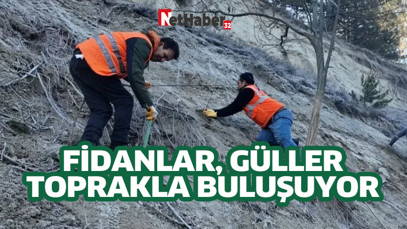 FİDANLAR, GÜLLER TOPRAKLA BULUŞUYOR