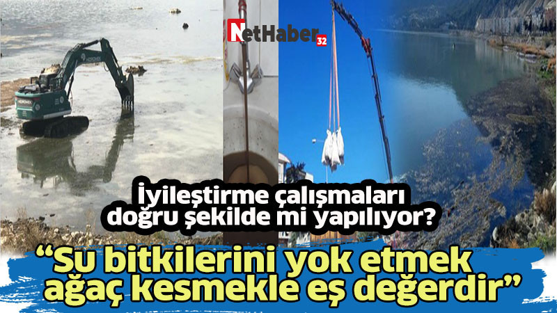 “Su bitkilerini yok etmek     ağaç kesmekle eş değerdir”