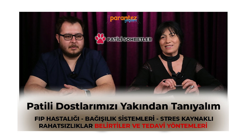 Kedilerde Sessiz Tehlike