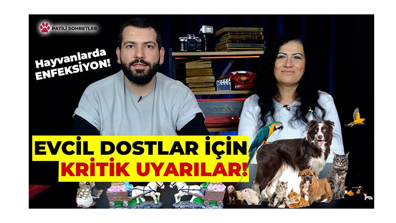 Veterinerden Uyarı: Evcil Hayvanlarda Solunum Yolu Enfeksiyonlarına Dikkat