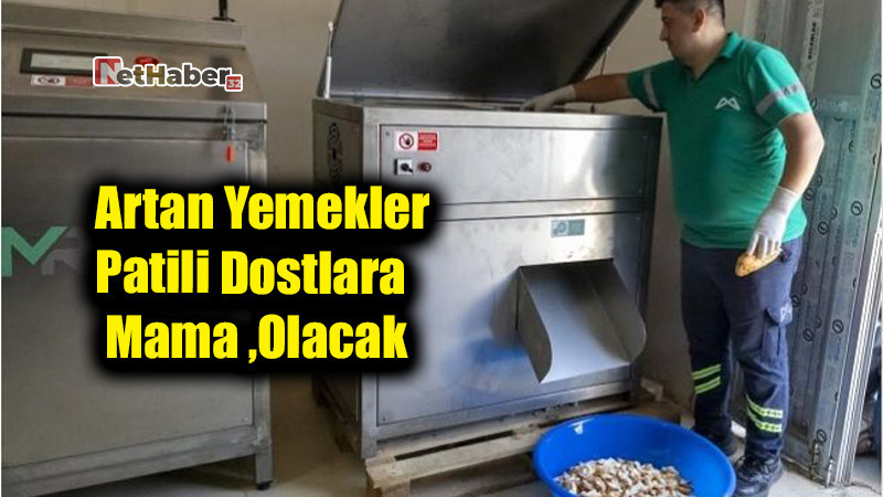 Artan Yemekler Patili Dostlara Mama Olacak: Isparta'da Örnek Uygulama