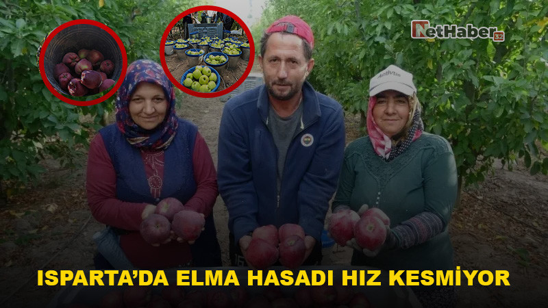 Isparta’da Elma Hasadı Hız Kesmiyor: Bahçelerde Yoğun Mesai