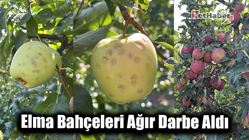 Eğirdir ve Gelendost’ta Dolu Felaketi: Elma Bahçeleri Ağır Darbe Aldı