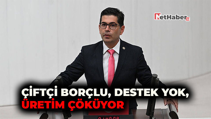 Çiftçi Borçlu, Destek Yok, Üretim Çöküyor