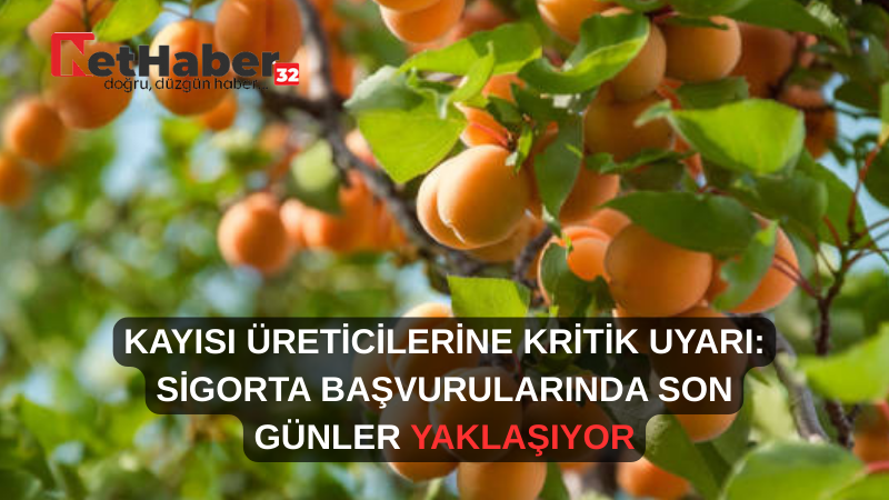 KAYISI ÜRETİCİLERİNE KRİTİK UYARI: SİGORTA BAŞVURULARINDA SON GÜNLER YAKLAŞIYOR