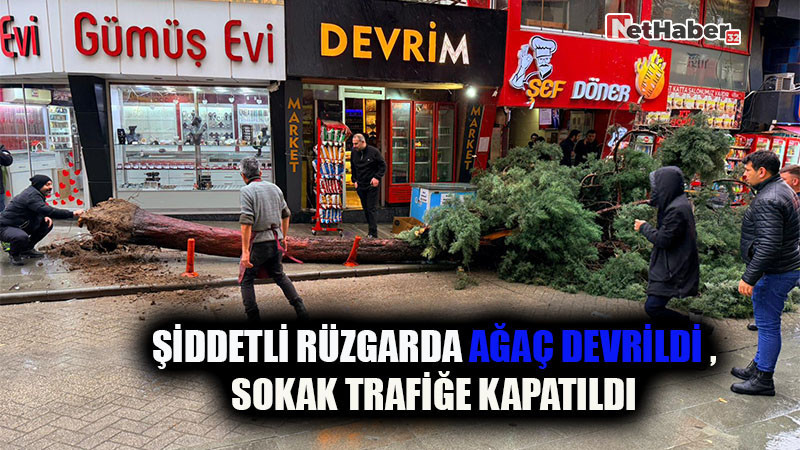 Şiddetli Rüzgarda Ağaç Devrildi Sokak Trafiğe Kapatıldı