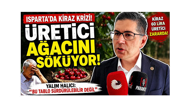 YALIM HALICI: 