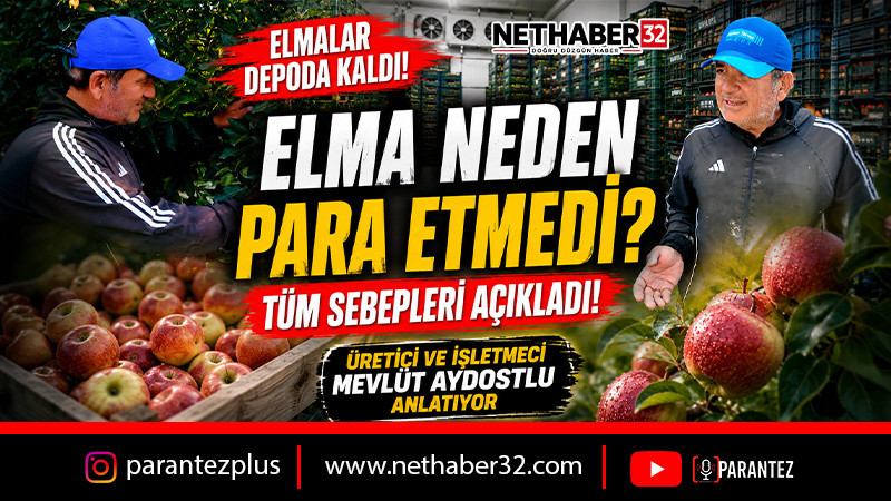Elma Neden Para Etmedi? Depolarda Neden Elma Kaldı? 