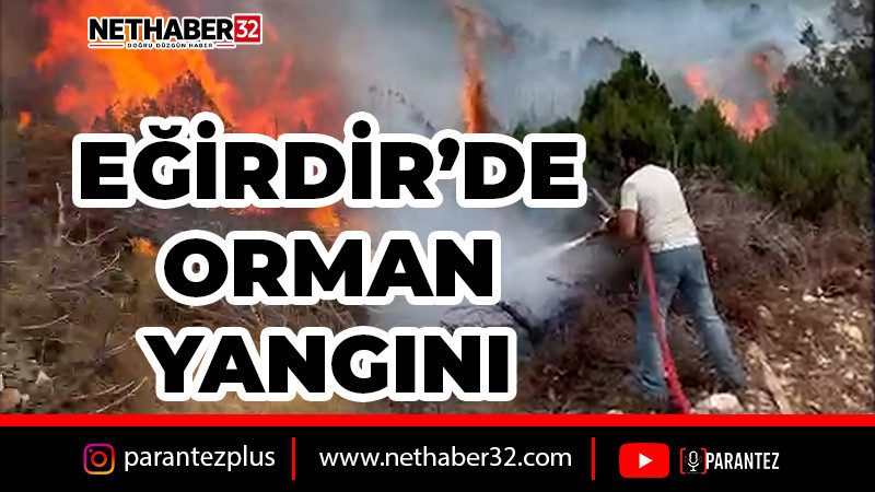 Eğirdir'de Çalılık Alanda Başlayan Alevler Ormana Sıçradı
