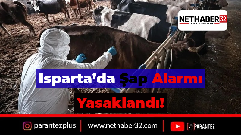Keçiborlu’da Şap Hastalığı Alarmı: İlçe Merkezi ve 7 Köyde Hayvan Giriş Çıkışı Yasaklandı