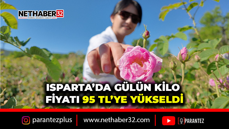 ISPARTA’DA GÜLÜN KİLO FİYATI 95 TL’YE YÜKSELDİ