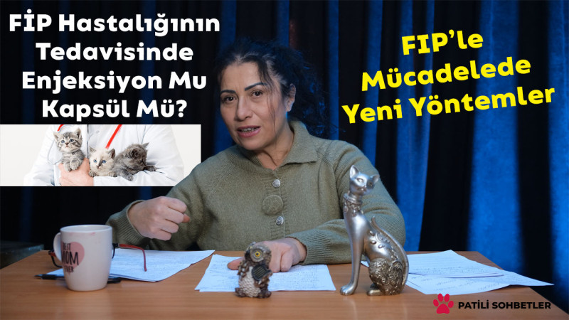 FİP Hastalığının Tedavi Süreci: Enjeksiyon Mu Kapsül Mü?